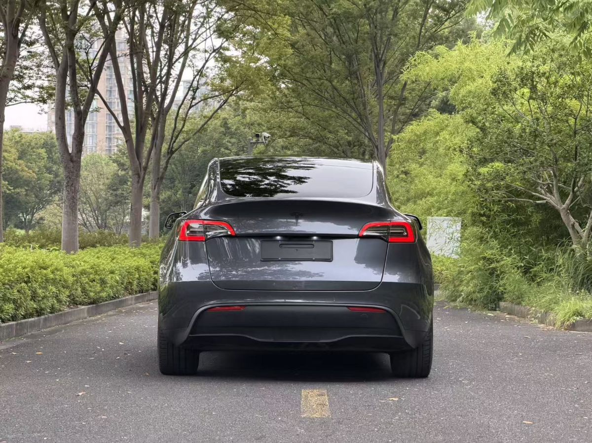 Tesla Model Y 2024 #5 Tesla Model Y 2024 car image #5