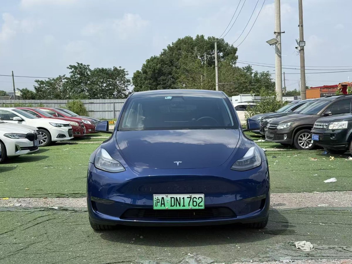 Tesla Model Y 2021 Tesla Model Y 2021 car image