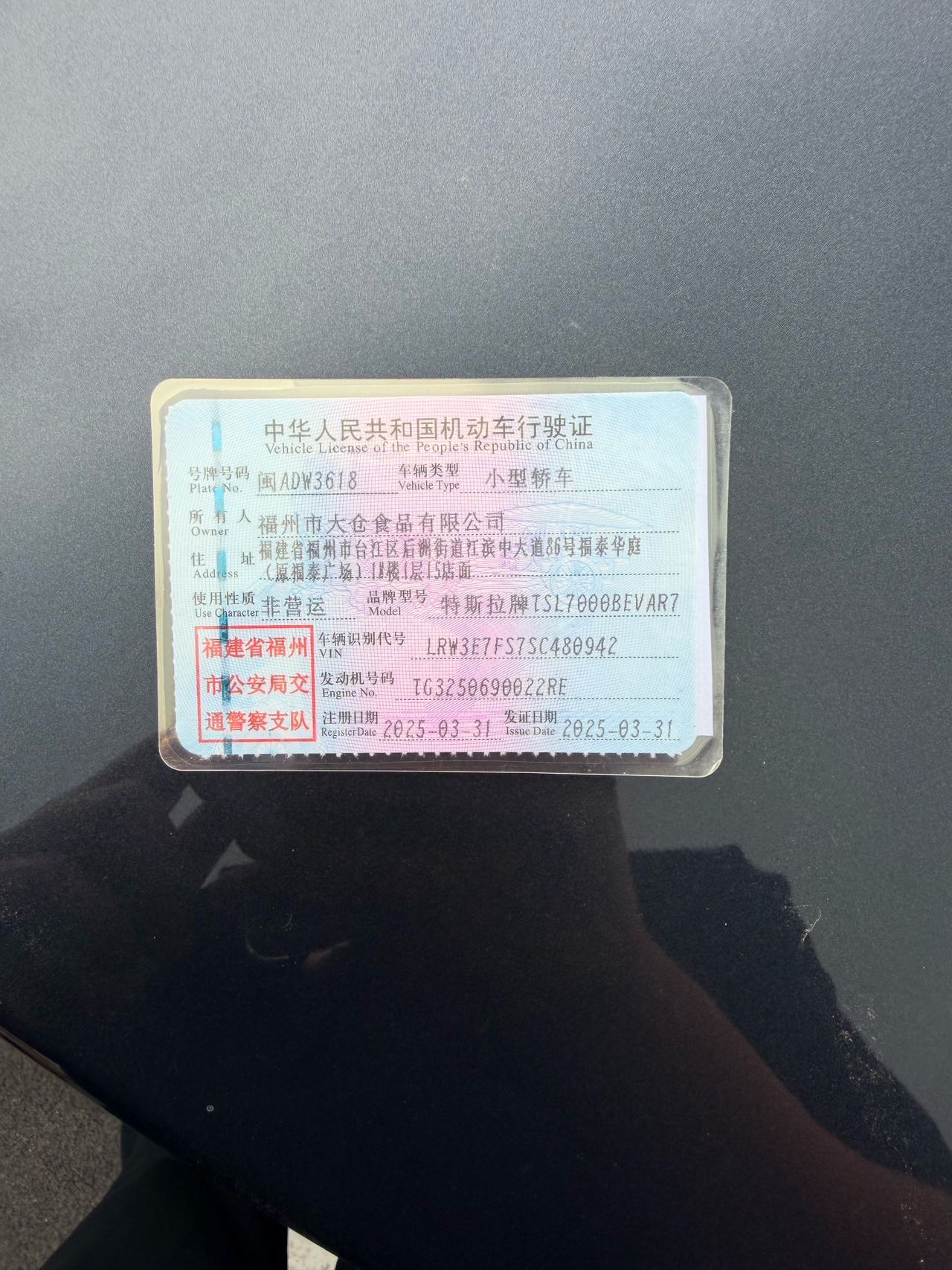 Tesla Model 3 2025 car image #6