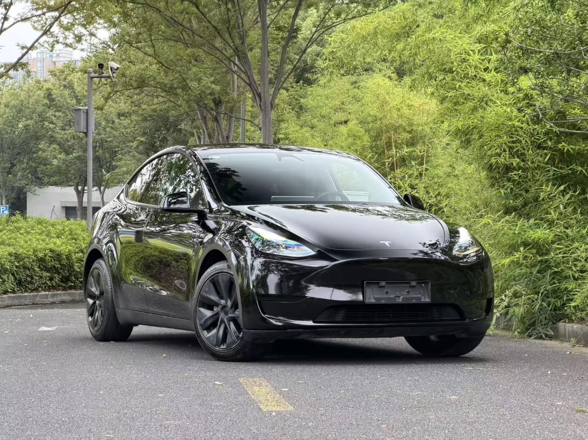 Tesla Model Y 2024 car image 