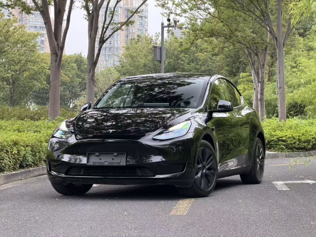 Tesla Model Y 2024 car image #3