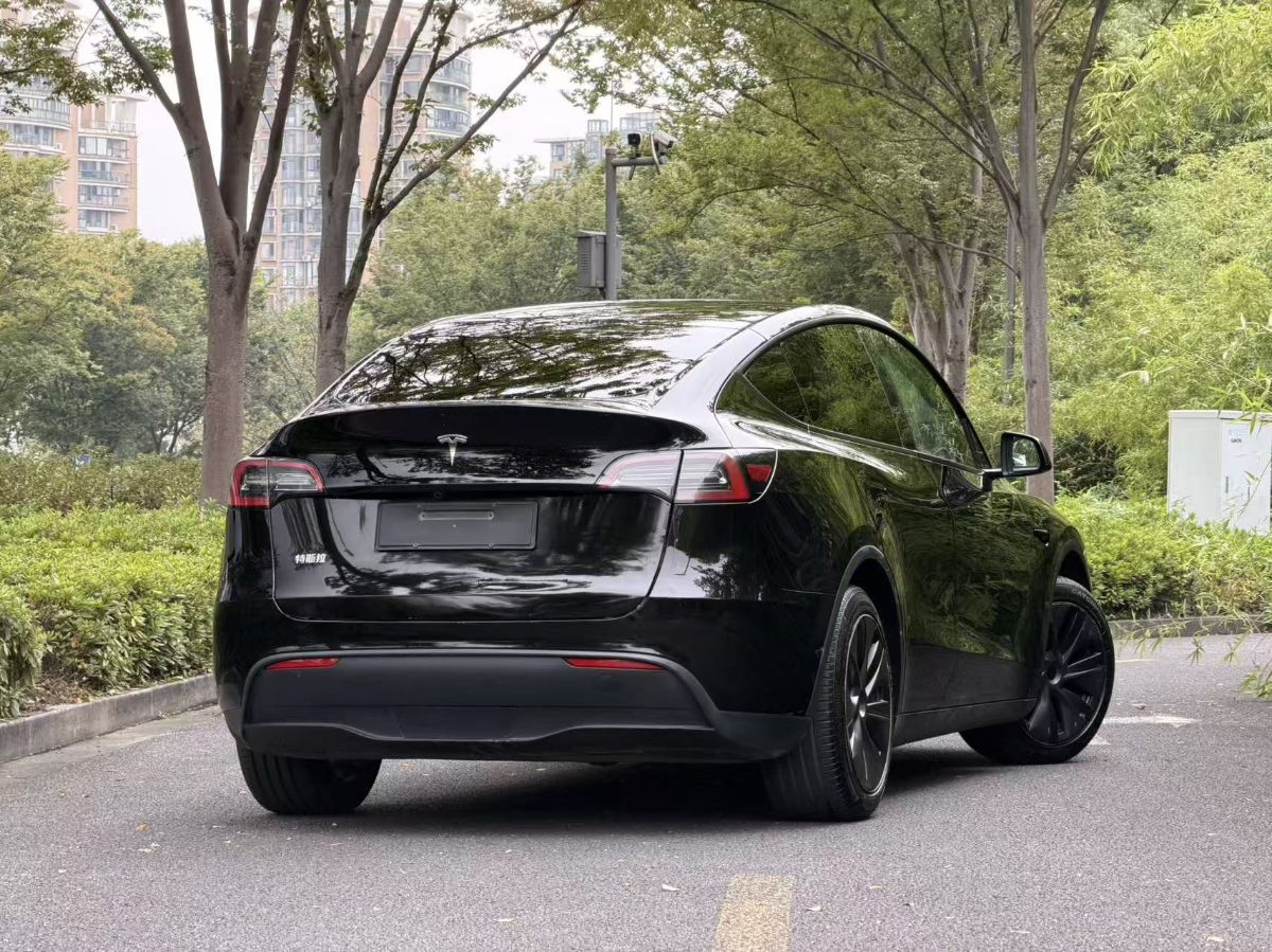 Tesla Model Y 2024 car image #5