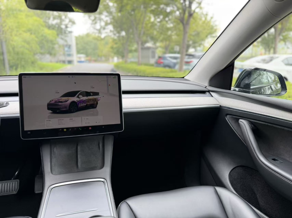 Tesla Model Y 2024 car image #12