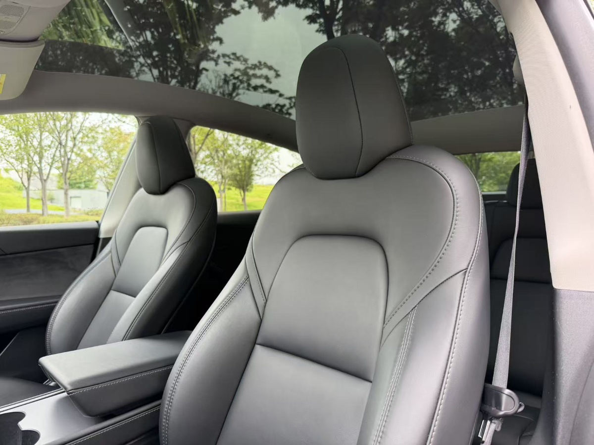 Tesla Model Y 2024 car image #9