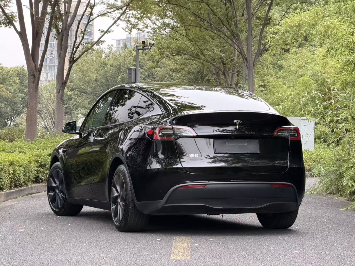 Tesla Model Y 2024 car image #6