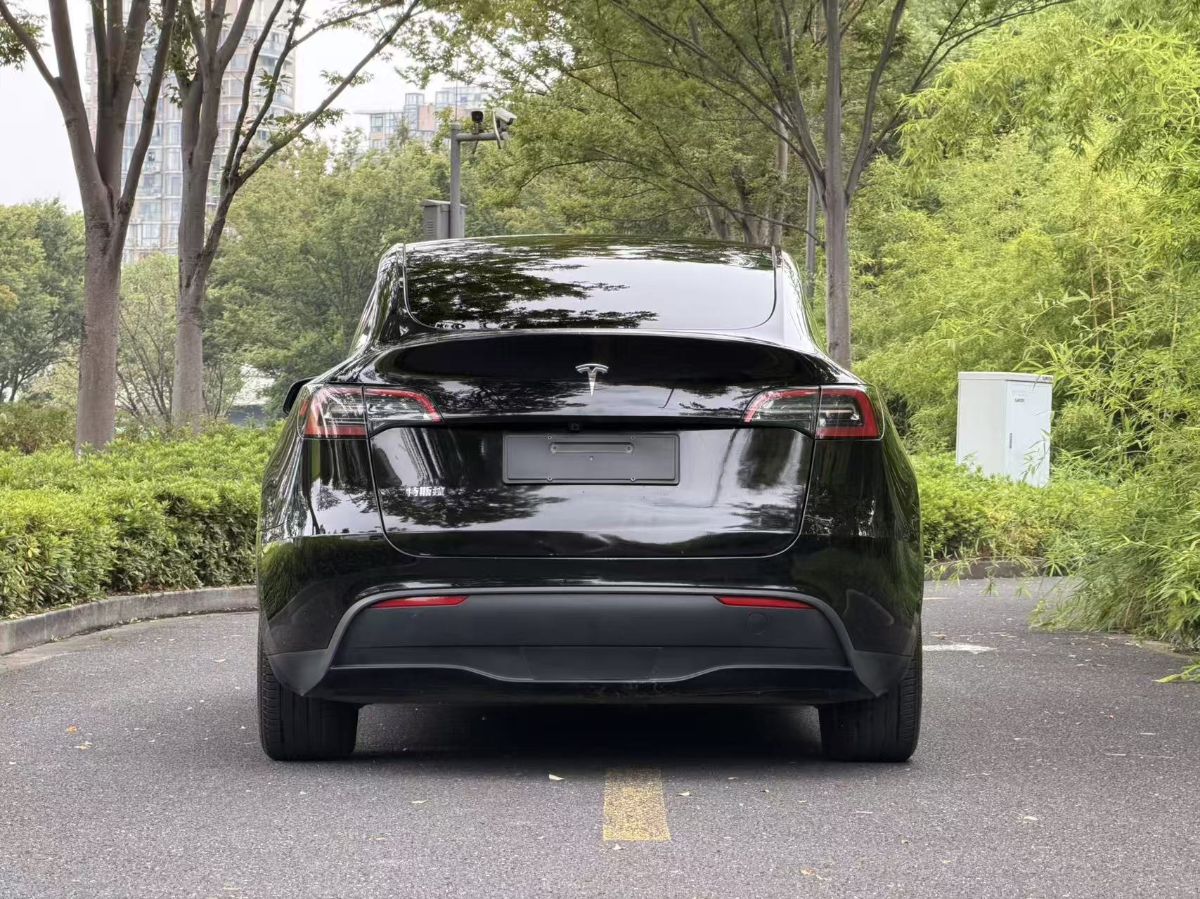 Tesla Model Y 2024 car image #4