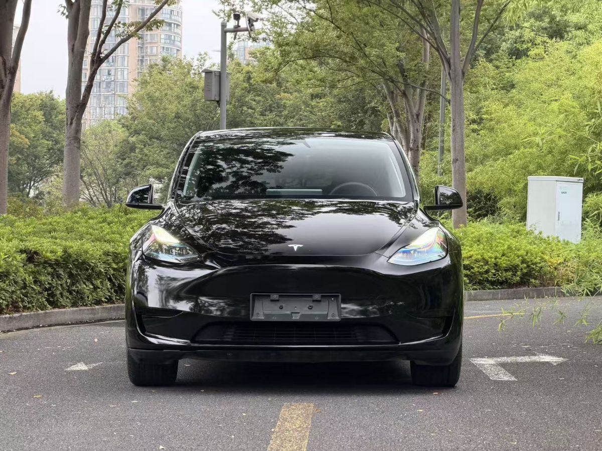 Tesla Model Y 2024 car image #2