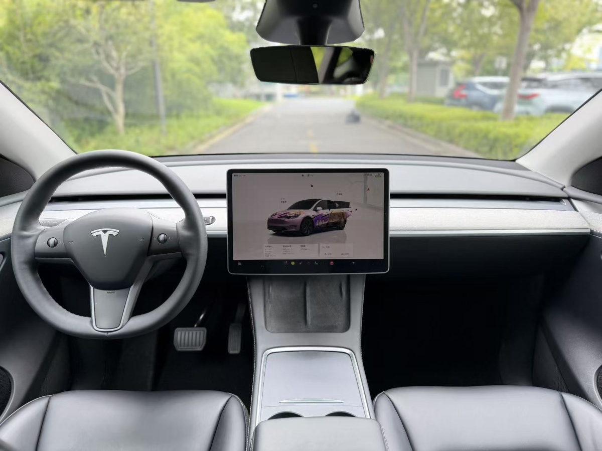 Tesla Model Y 2024 car image #14