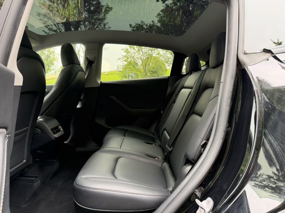 Tesla Model Y 2024 car image #10