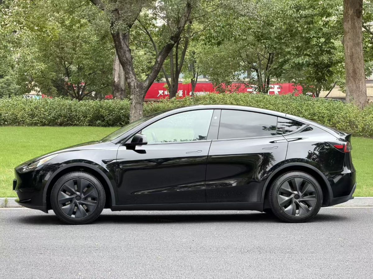 Tesla Model Y 2024 car image #7