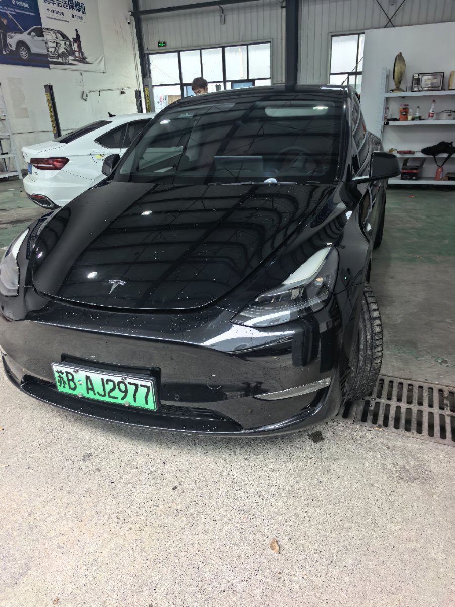 Tesla Model Y 2021 car image 