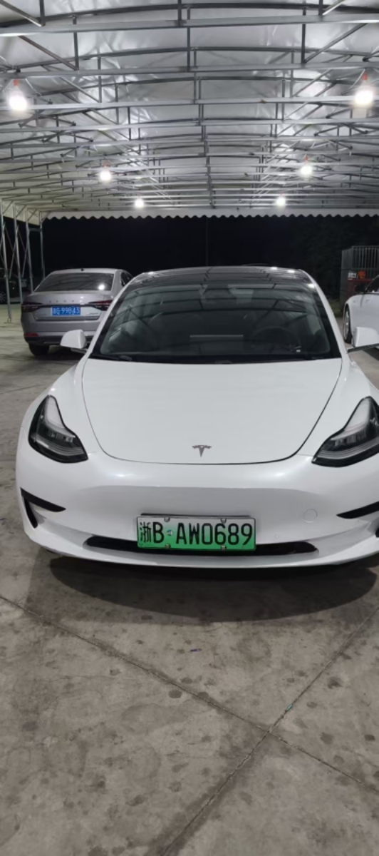 Tesla Model 3 2020 Tesla Model 3 2020 car image