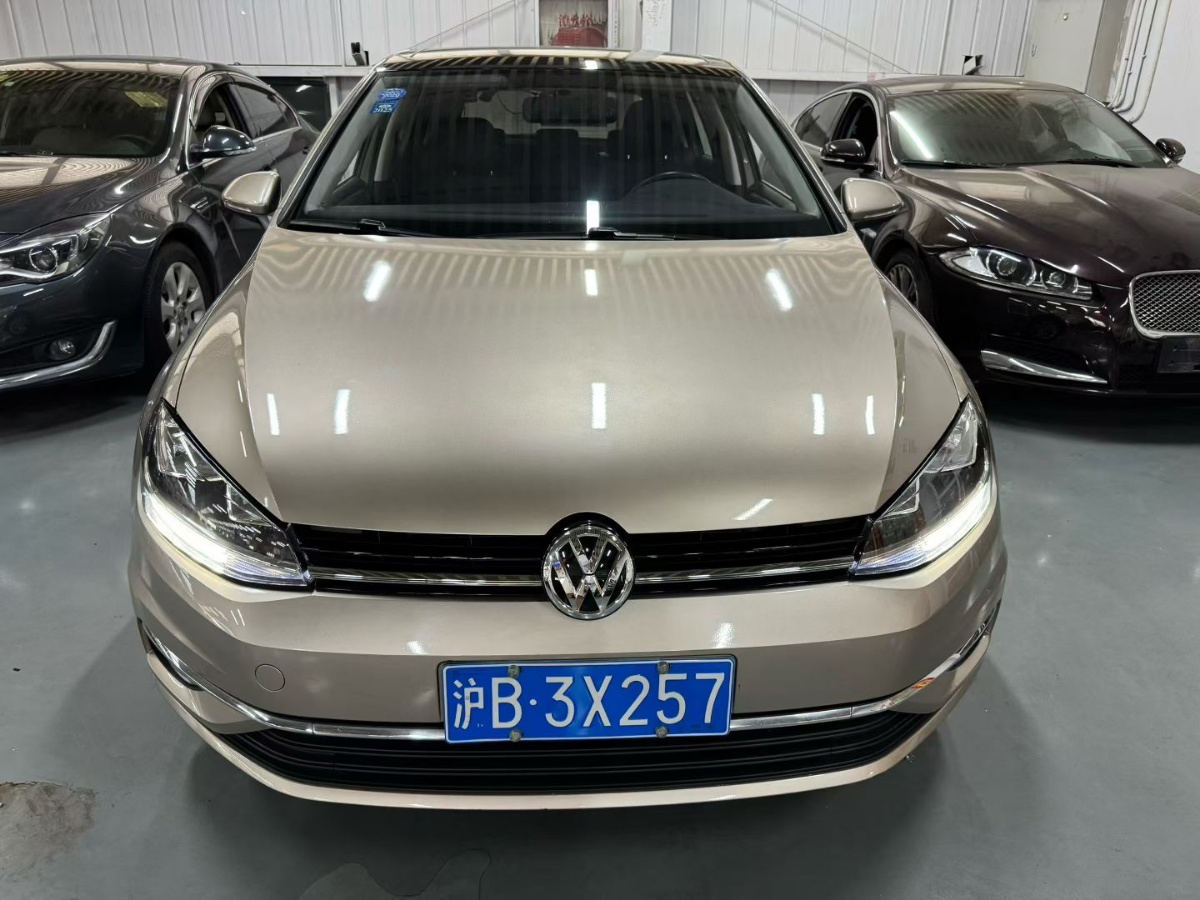 Volkswagen Golf 2019 Volkswagen Golf 2019 car image