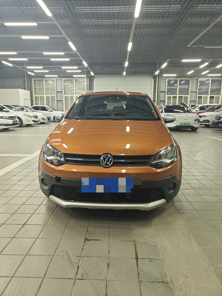 Volkswagen Polo 2014 car image 