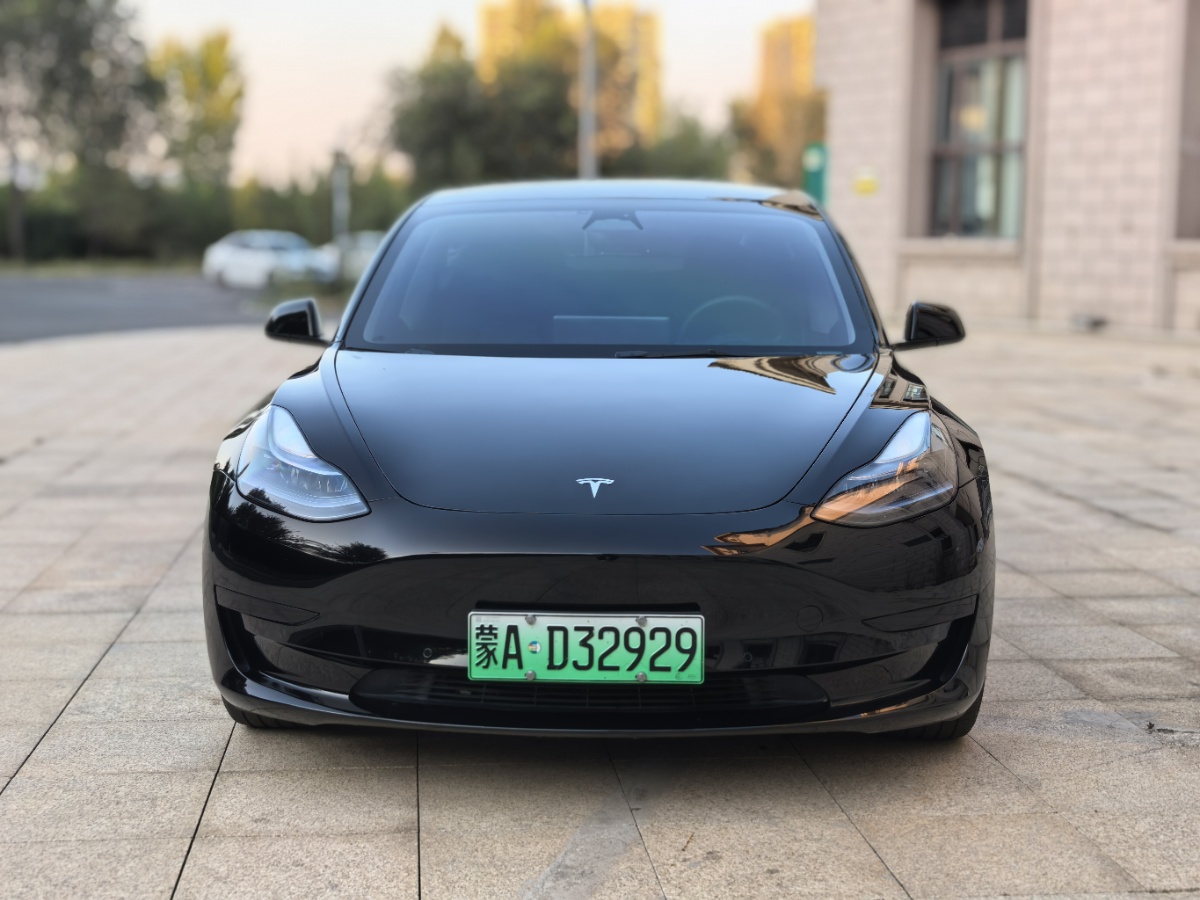 Tesla Model 3 2023 #2 Tesla Model 3 2023 car image #2