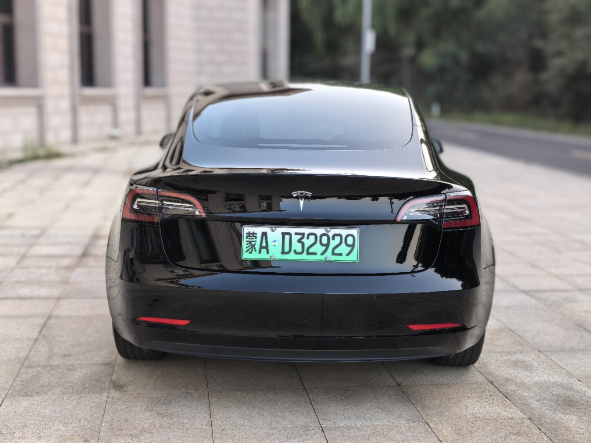 Tesla Model 3 2023 #9 Tesla Model 3 2023 car image #9