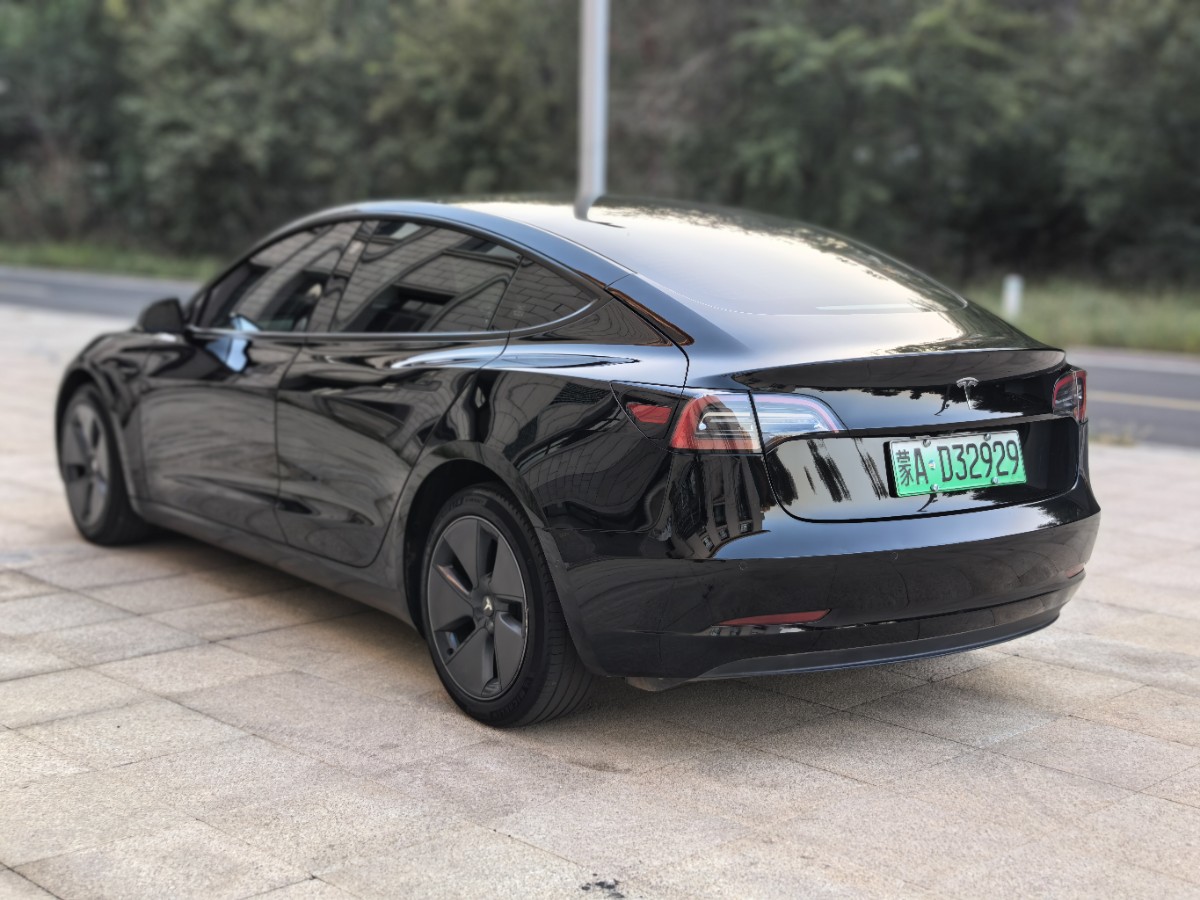 Tesla Model 3 2023 #8 Tesla Model 3 2023 car image #8