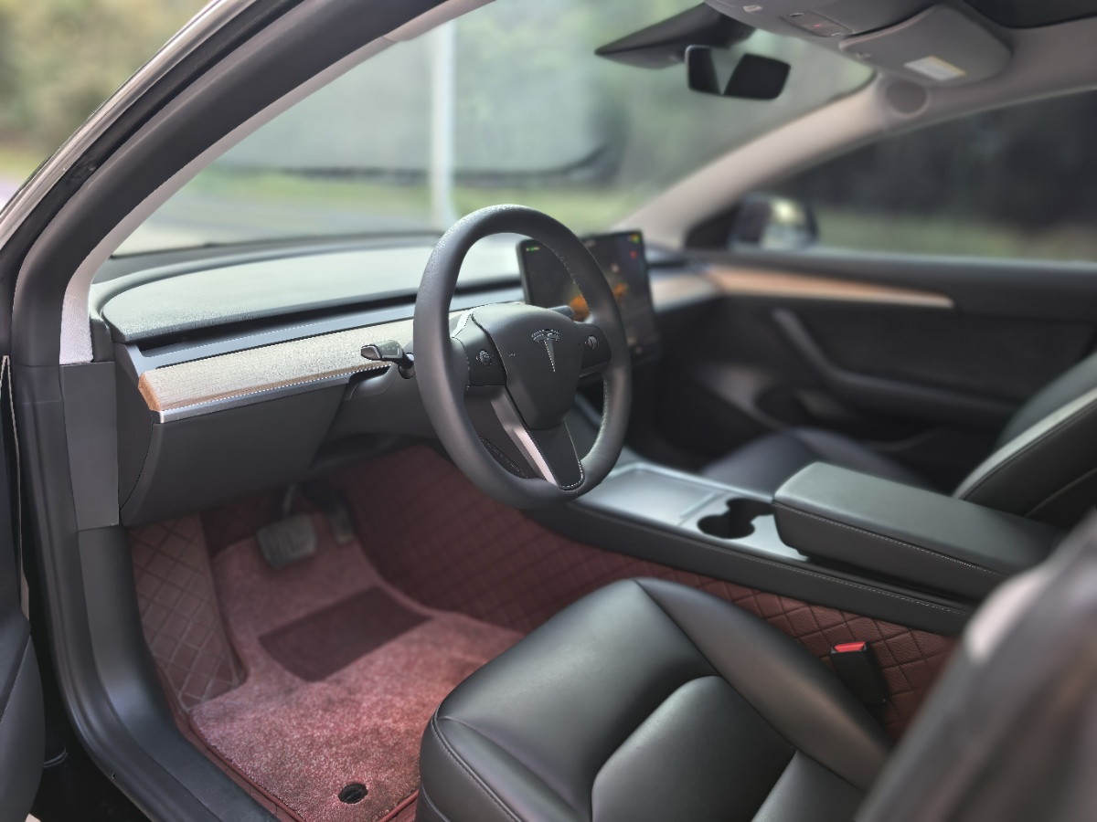 Tesla Model 3 2023 #4 Tesla Model 3 2023 car image #4