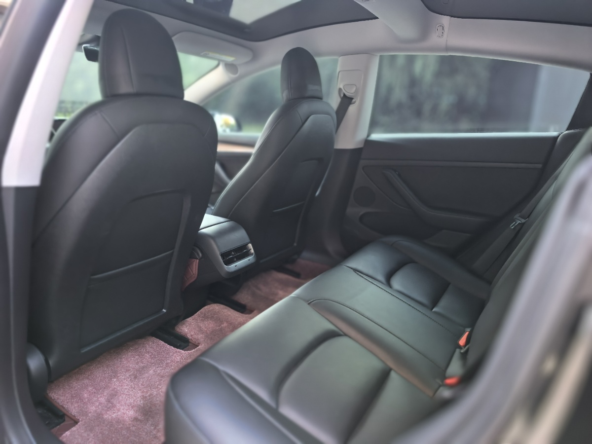 Tesla Model 3 2023 #6 Tesla Model 3 2023 car image #6