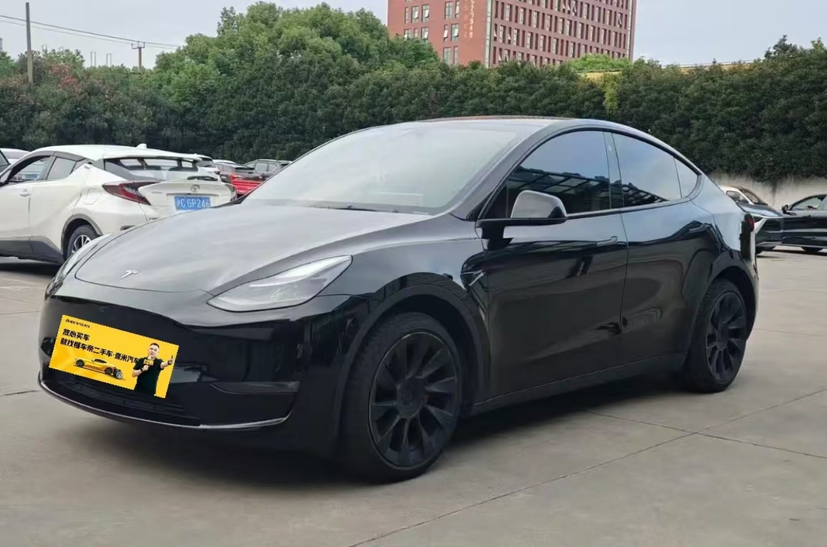 Tesla Model Y 2022 car image 