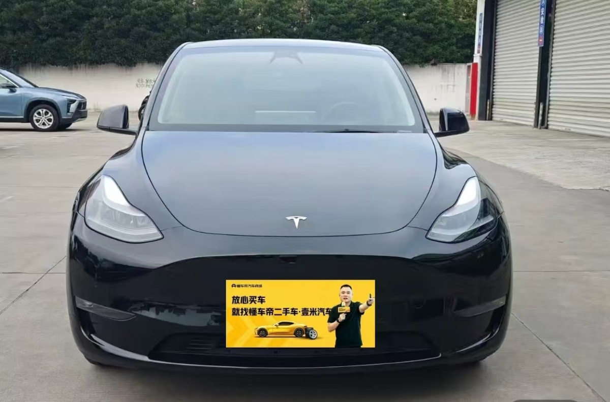 Tesla Model Y 2022 car image #6