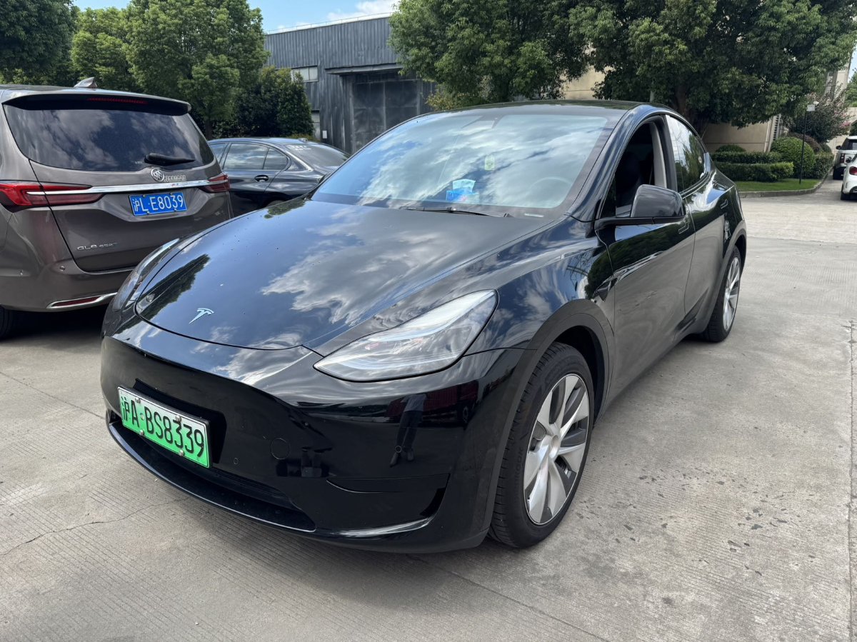 Tesla Model Y 2023 Tesla Model Y 2023 car image