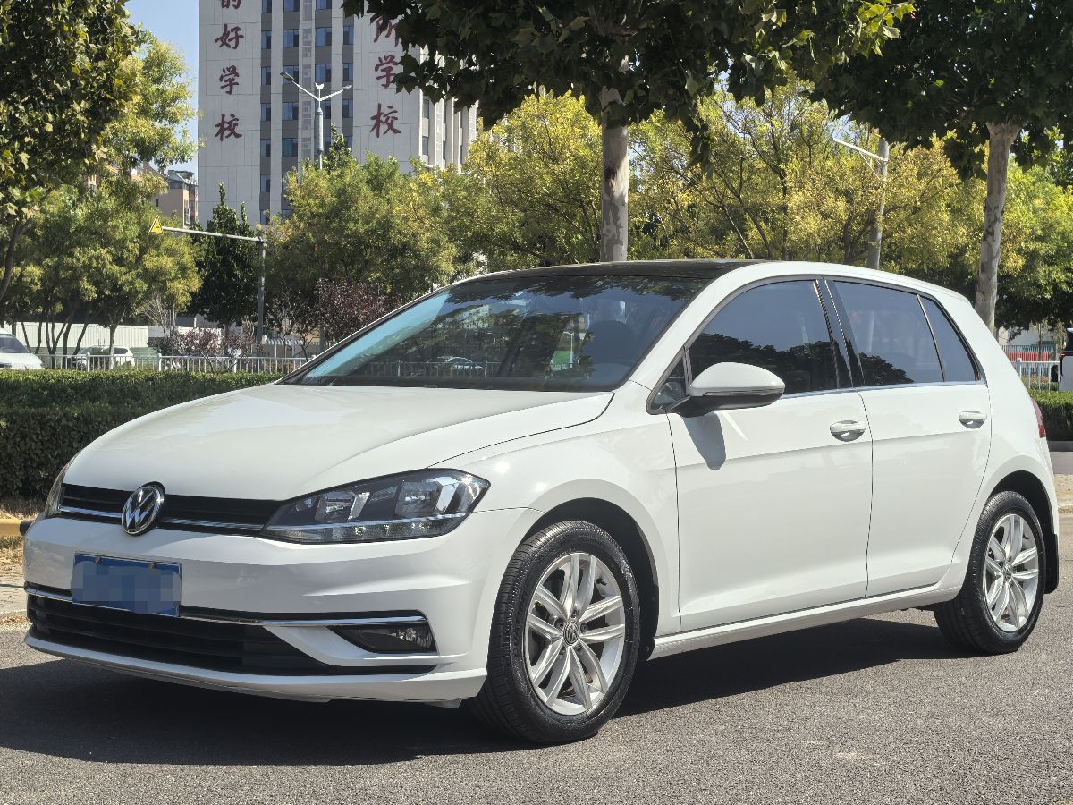 Volkswagen Golf 2019 Volkswagen Golf 2019 car image