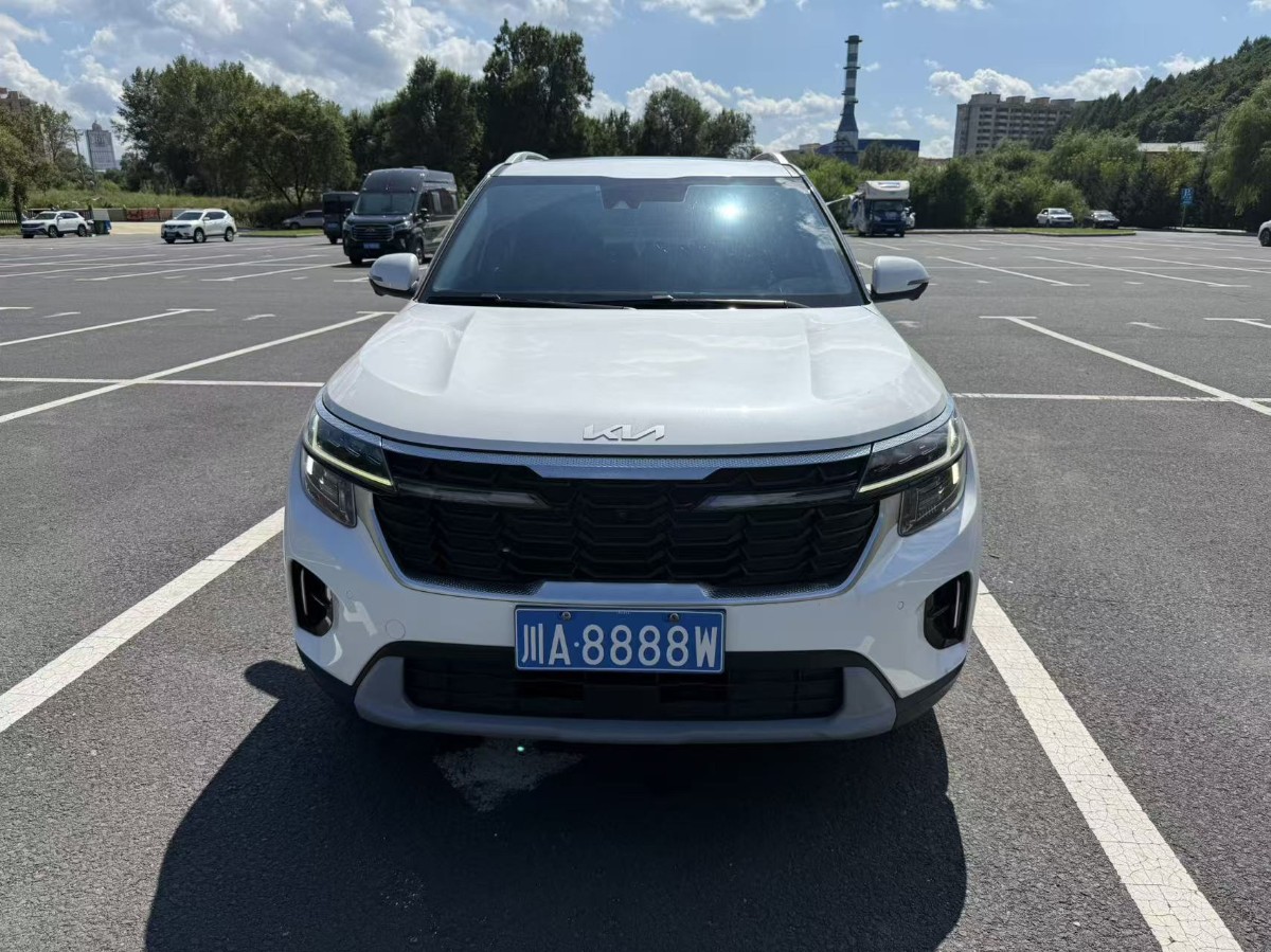 Kia Seltos 2024 car image #2