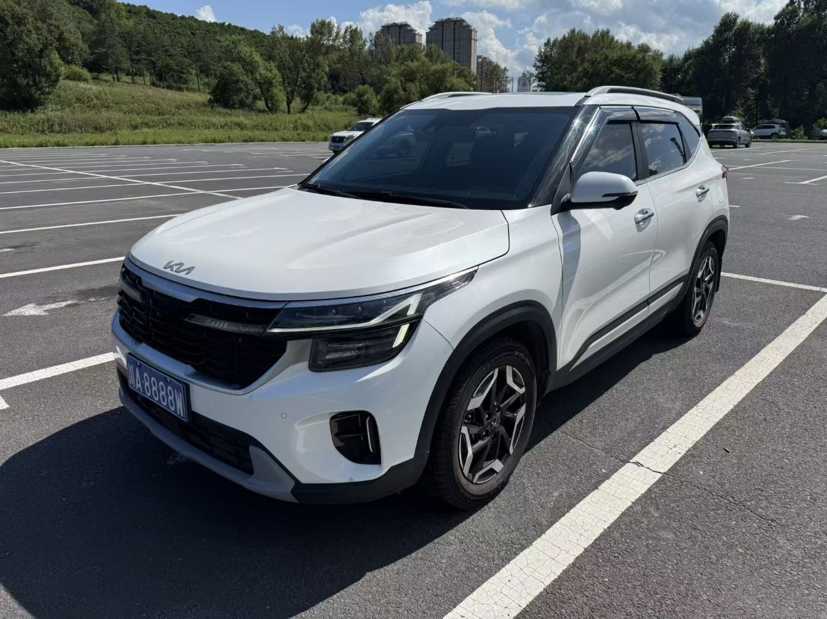 Kia Seltos 2024 car image 