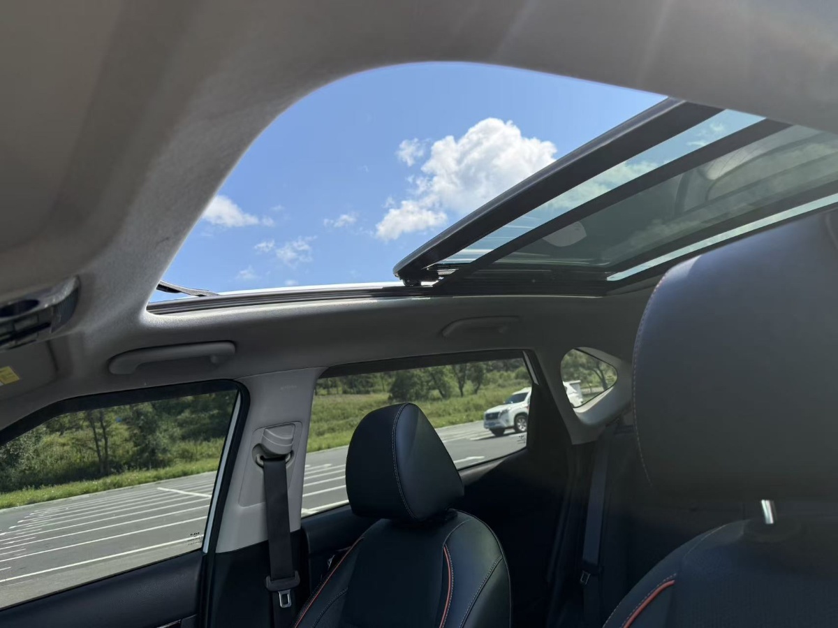 Kia Seltos 2024 car image #10