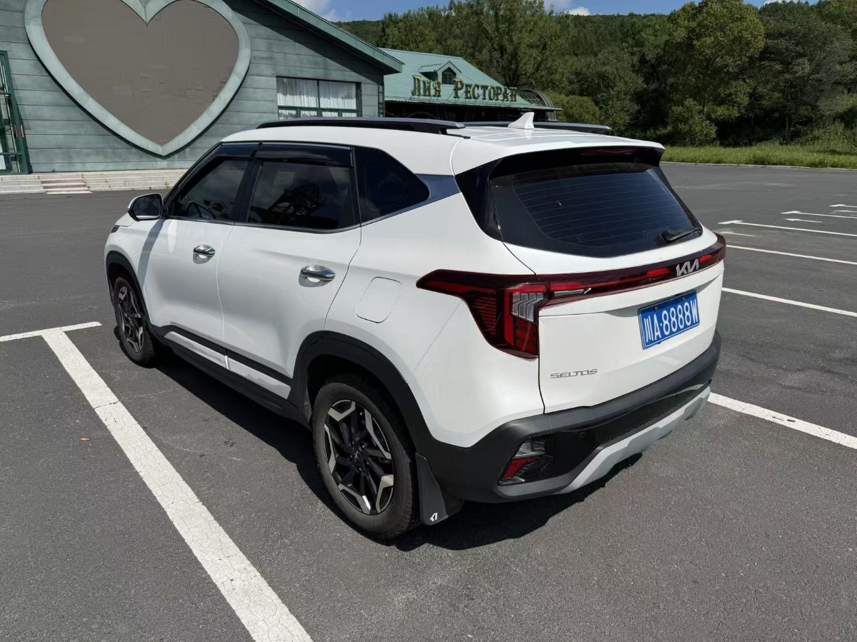 Kia Seltos 2024 car image #6