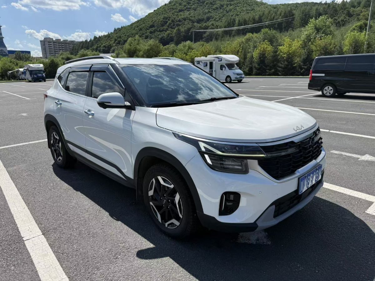 Kia Seltos 2024 car image #3