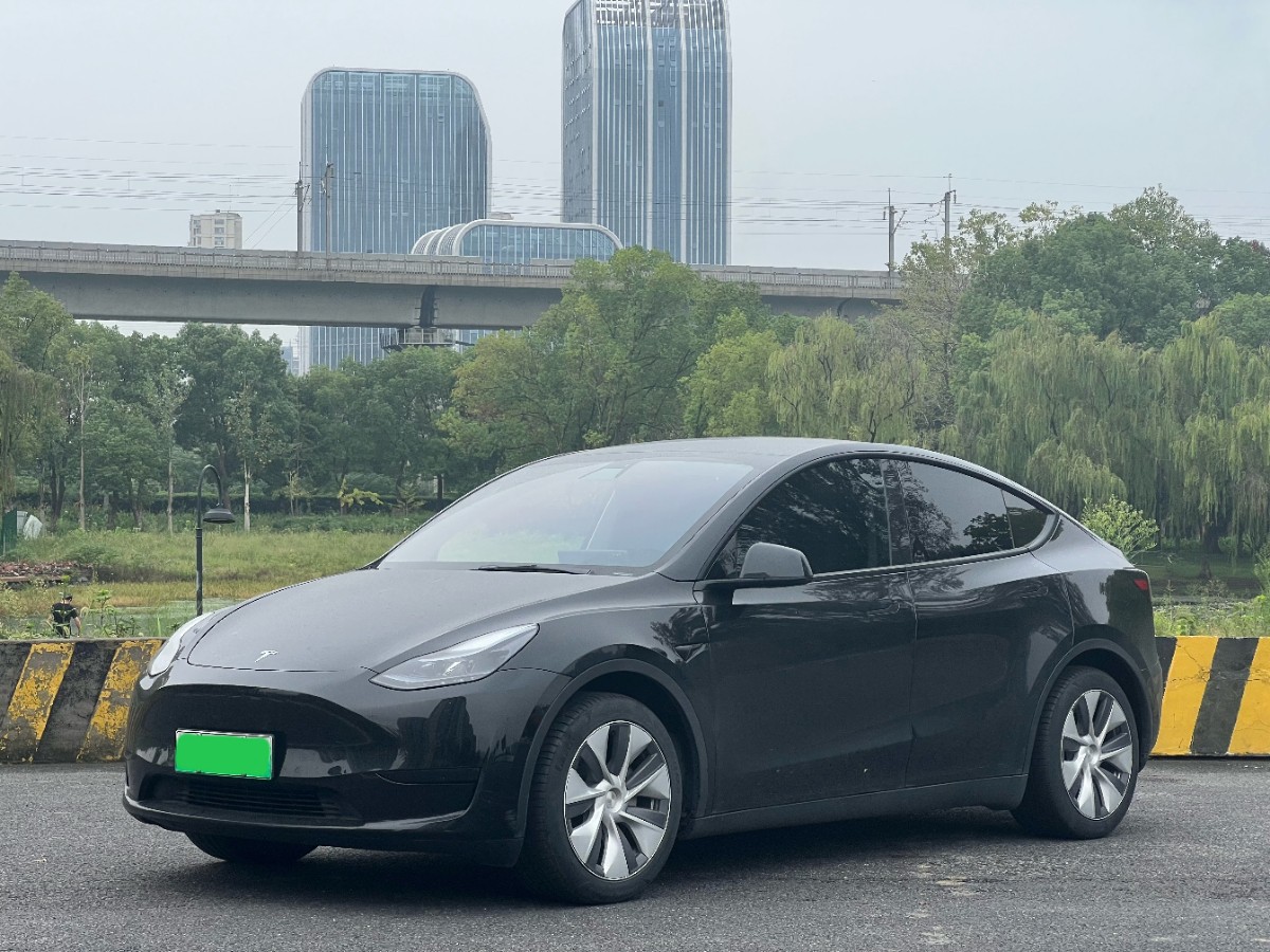 Tesla Model Y 2022 Tesla Model Y 2022 car image