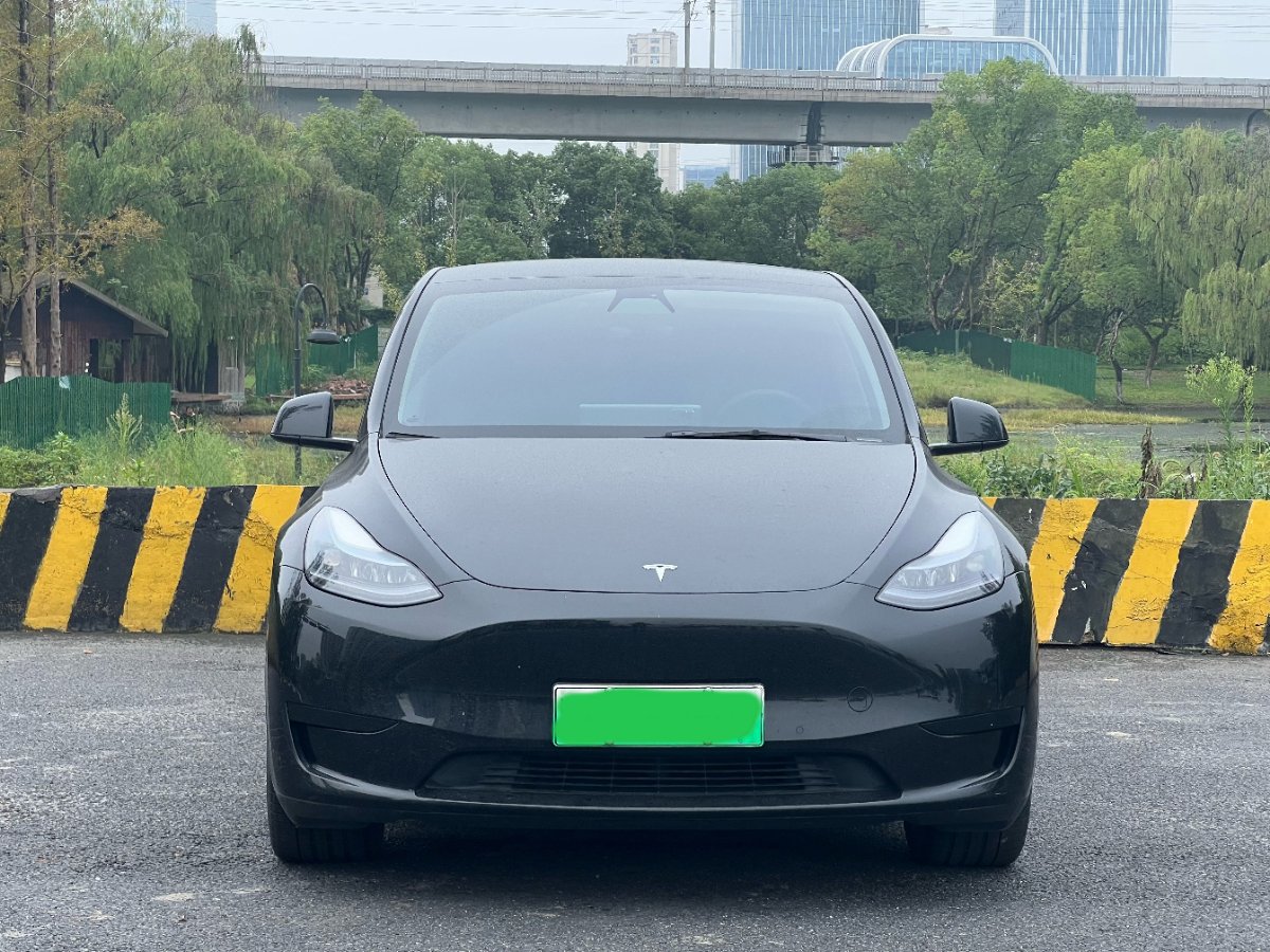 Tesla Model Y 2022 #2 Tesla Model Y 2022 car image #2