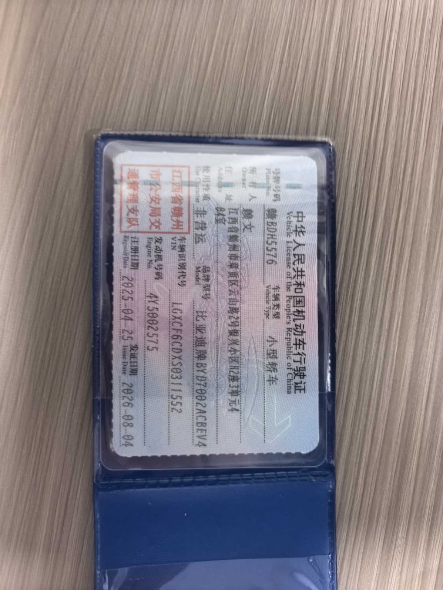 BYD HanL 2025 car image #13