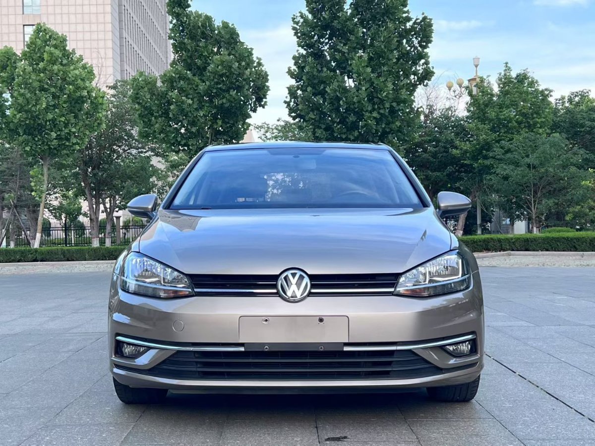 Volkswagen Golf 2019 #2 Volkswagen Golf 2019 car image #2