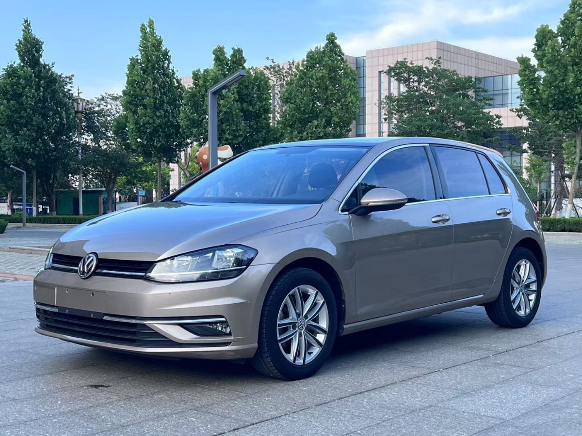 Volkswagen Golf 2019 Volkswagen Golf 2019 car image