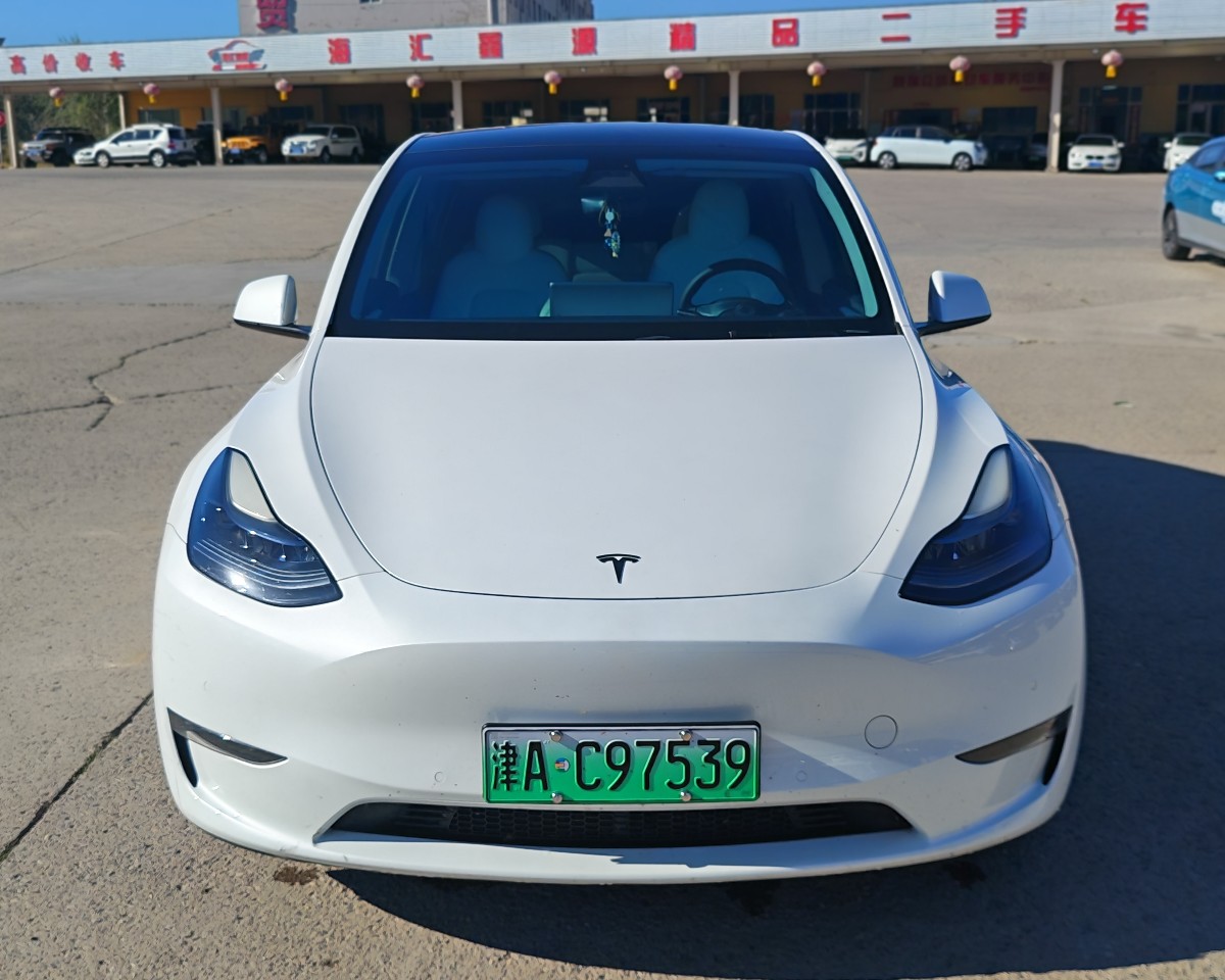 Tesla Model Y 2022 Tesla Model Y 2022 car image