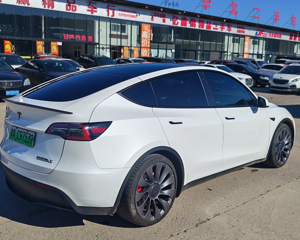 Tesla Model Y 2022 #3 Tesla Model Y 2022 car image #3