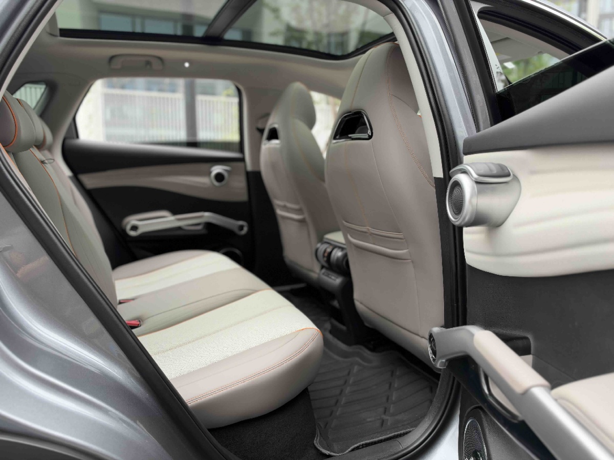 BYD Yuan Plus 2024 car image #8