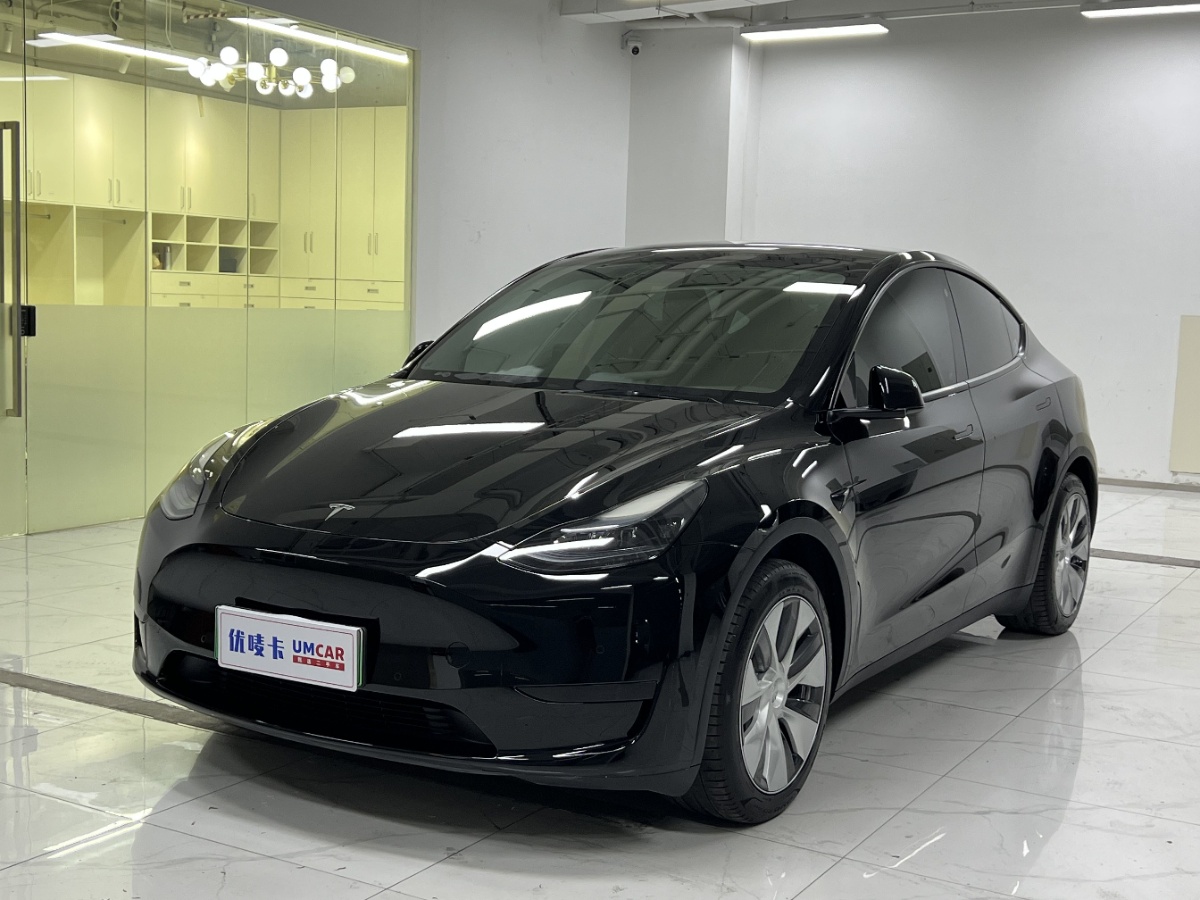 Tesla Model Y 2022 Tesla Model Y 2022 car image