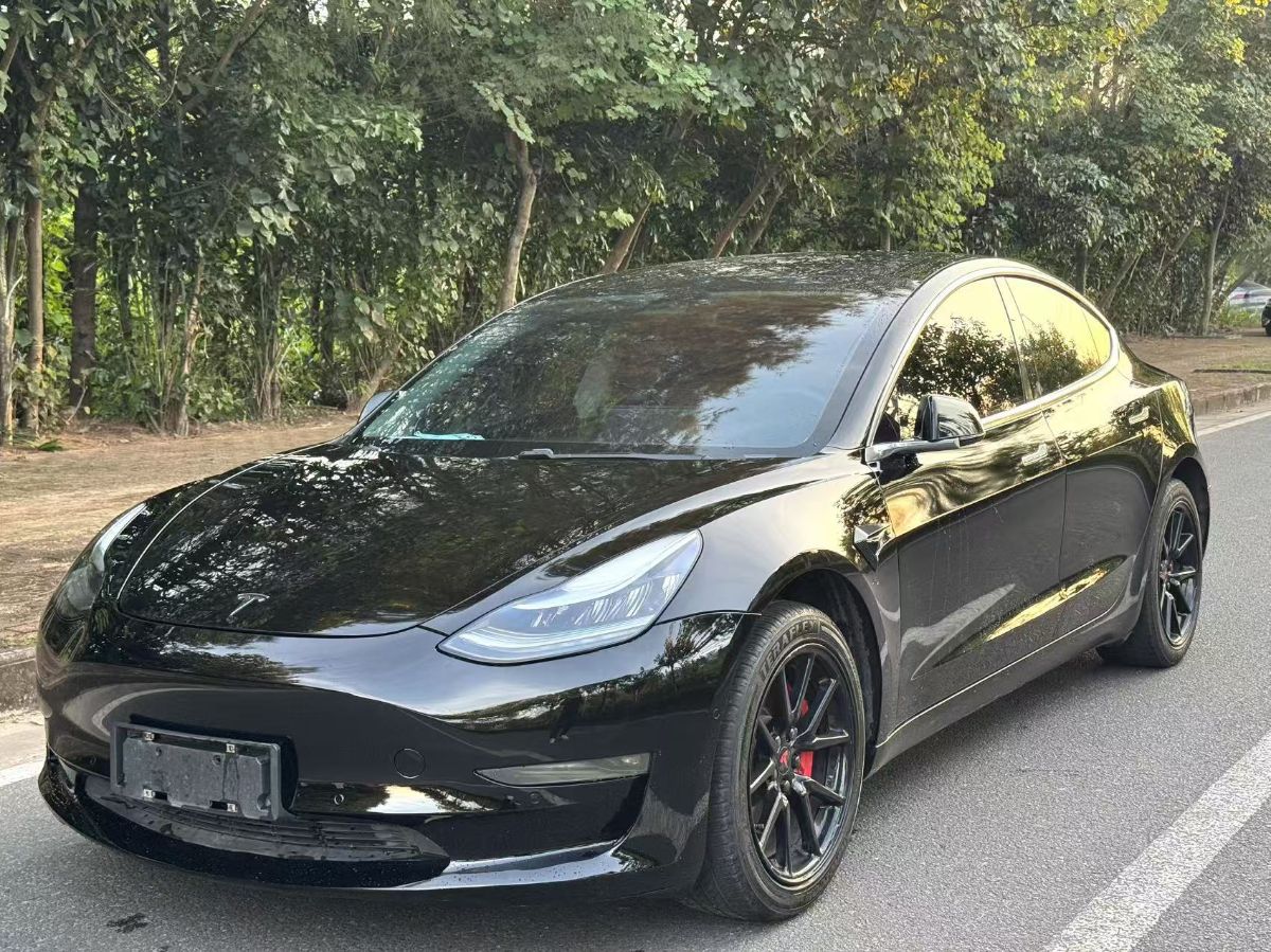 Tesla Model 3 2020 car image 