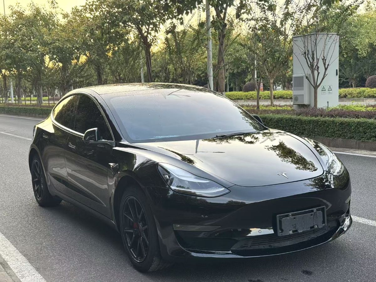 Tesla Model 3 2020 car image #3