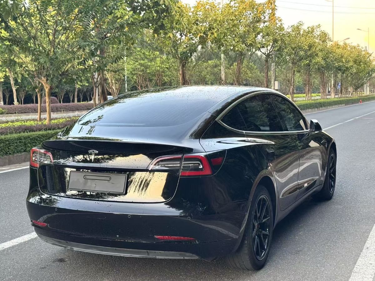Tesla Model 3 2020 car image #4