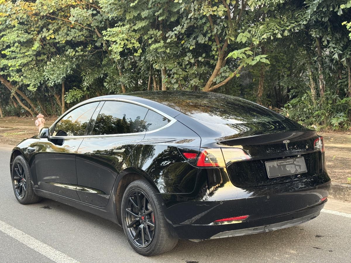 Tesla Model 3 2020 car image #6