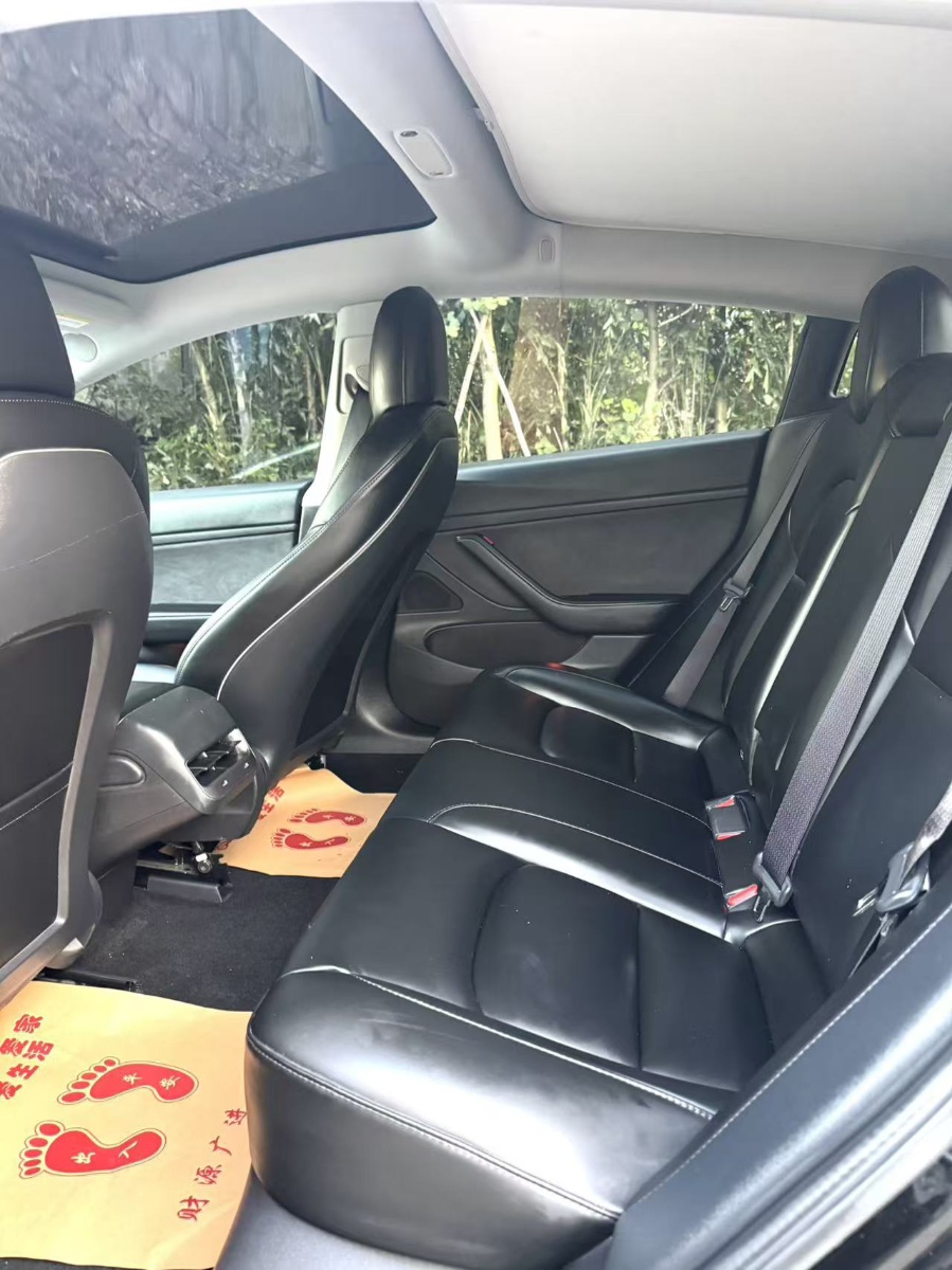 Tesla Model 3 2020 car image #8