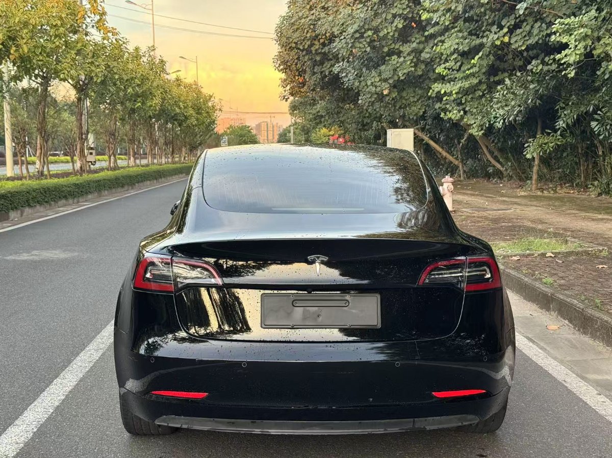 Tesla Model 3 2020 car image #5