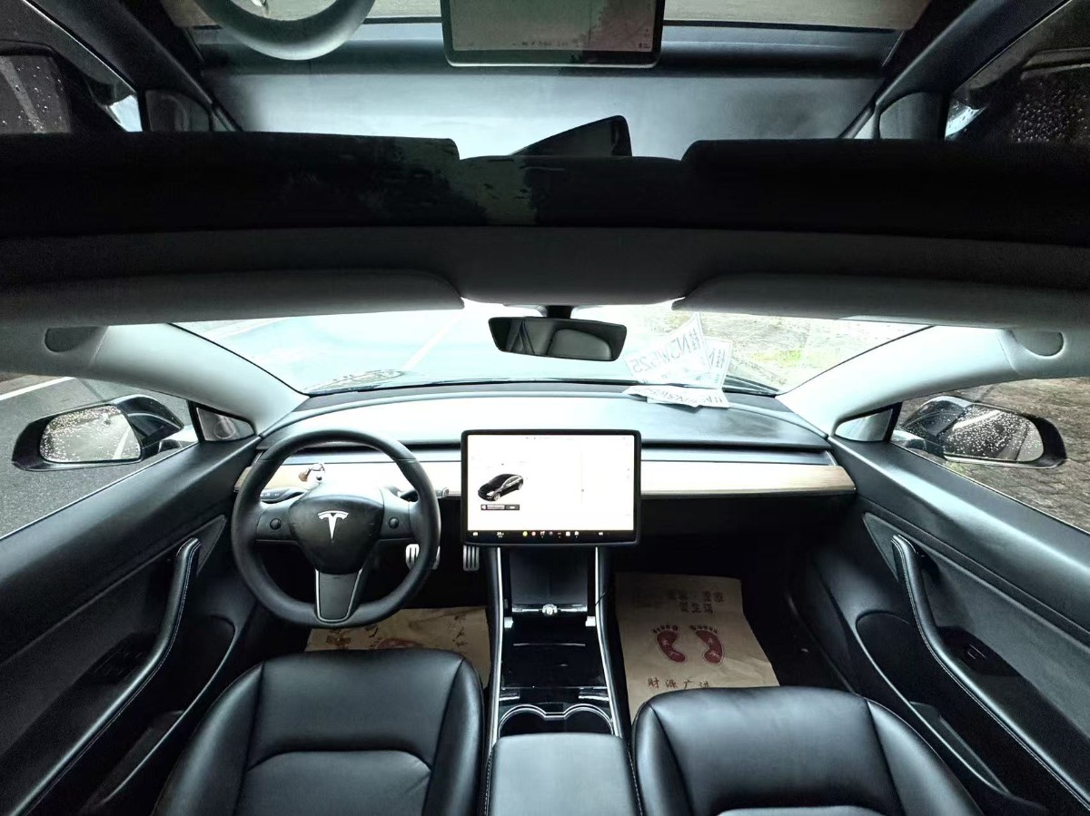 Tesla Model 3 2020 car image #9
