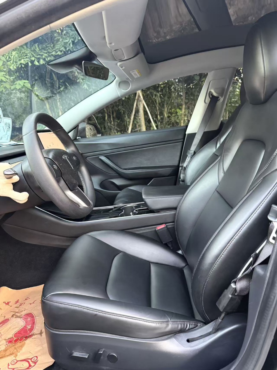 Tesla Model 3 2020 car image #7
