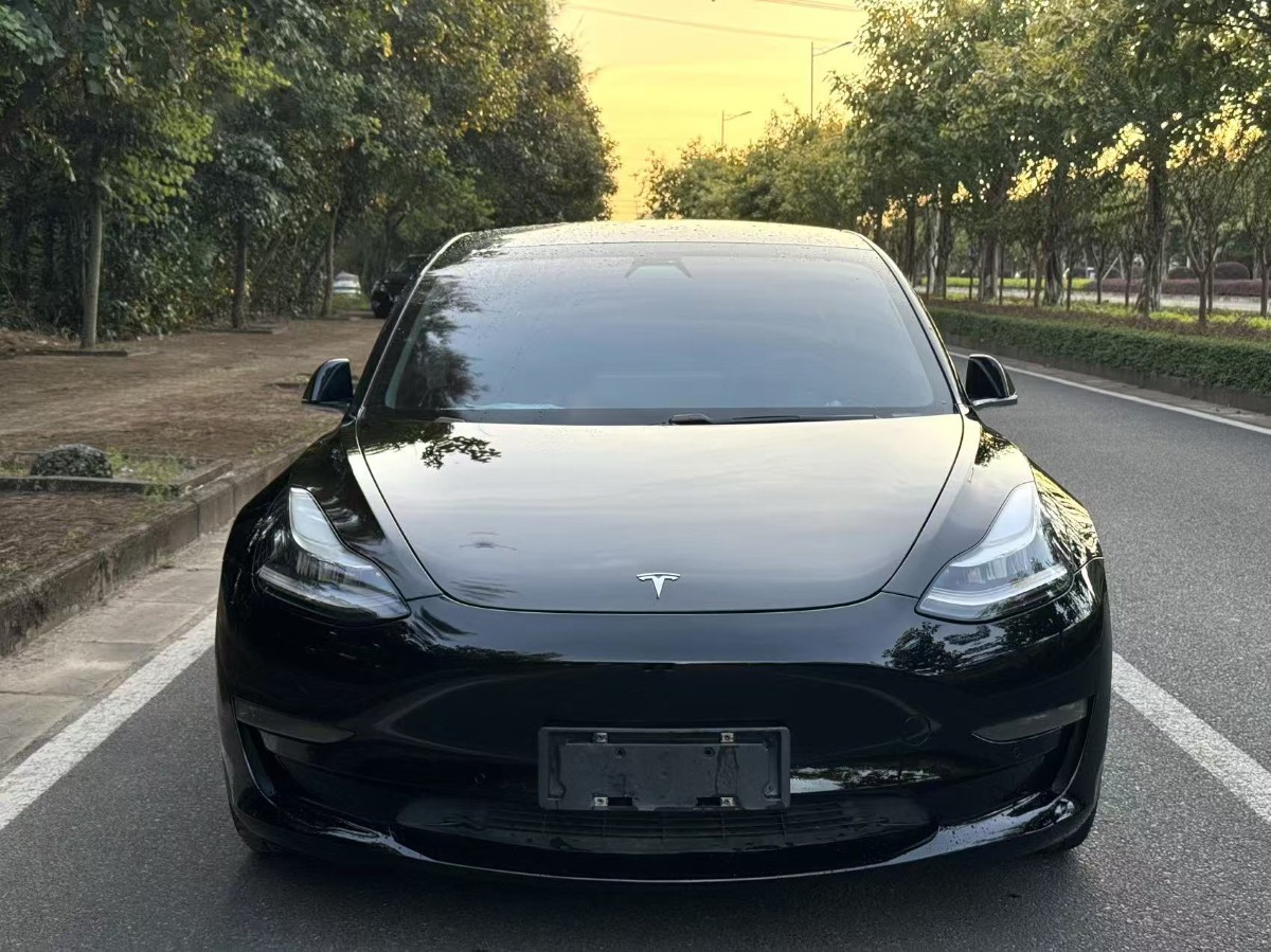 Tesla Model 3 2020 car image #2